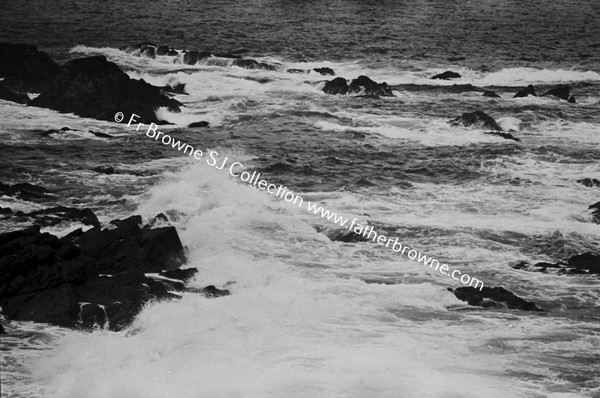 WILD COASTAL SCENES ON ATLANTIC DRIVE